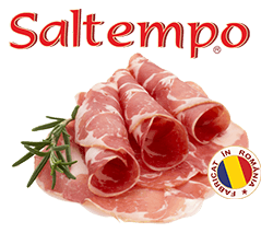 Saltempo